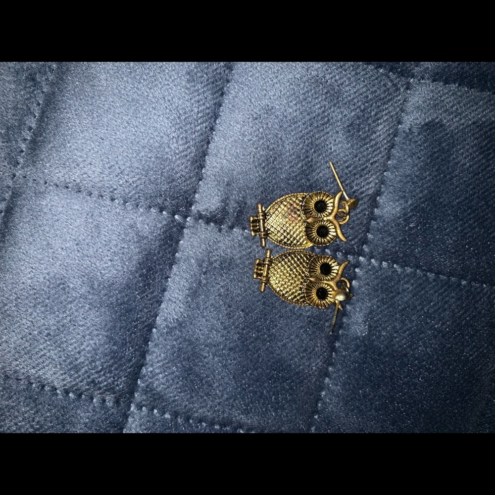 Owl earrings